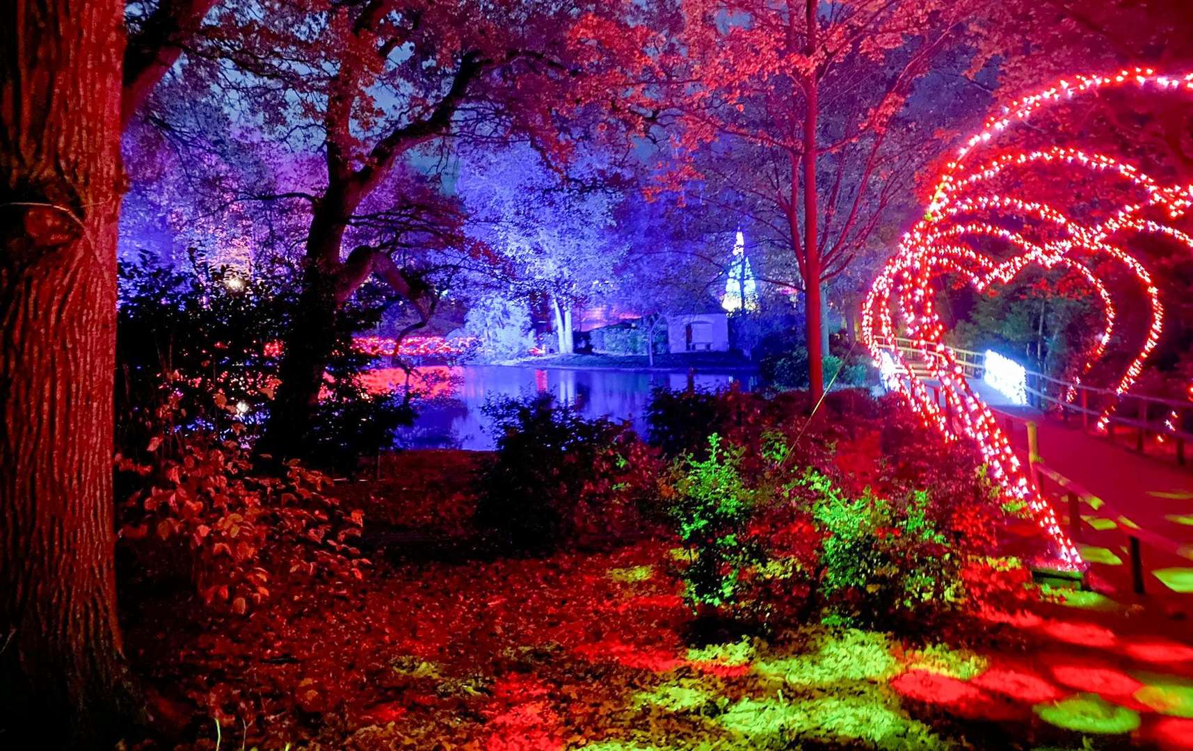 The colourful Christmas Lights at Leeds Castle trail will return this festive season
